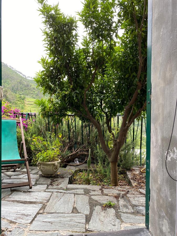 Cottage La Terrazza Levanto Extérieur photo