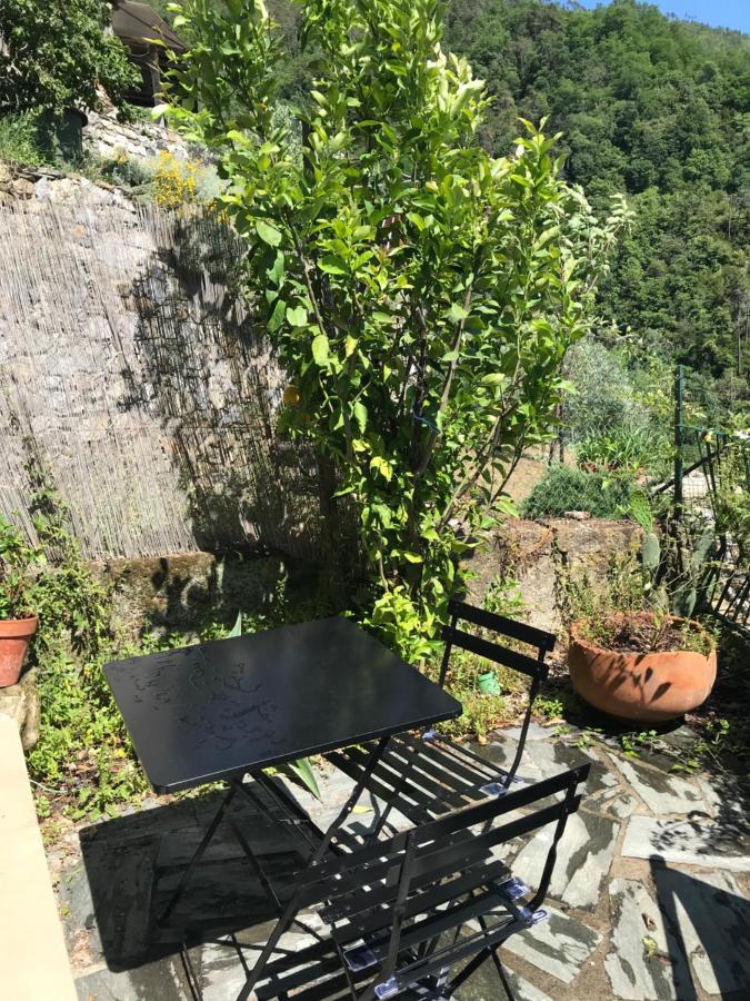 Cottage La Terrazza Levanto Extérieur photo