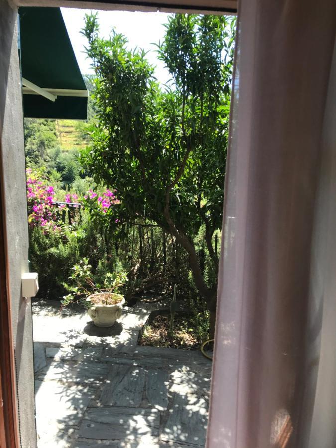 Cottage La Terrazza Levanto Extérieur photo